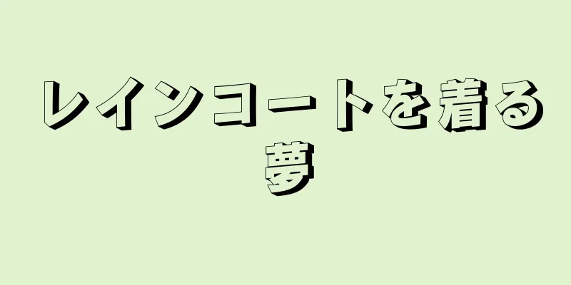 レインコートを着る夢