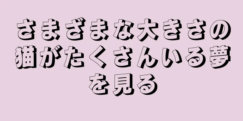 さまざまな大きさの猫がたくさんいる夢を見る