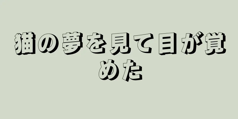 猫の夢を見て目が覚めた
