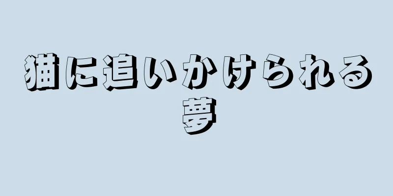 猫に追いかけられる夢
