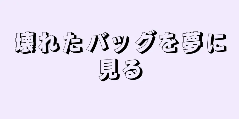 壊れたバッグを夢に見る