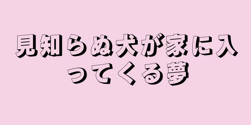 見知らぬ犬が家に入ってくる夢