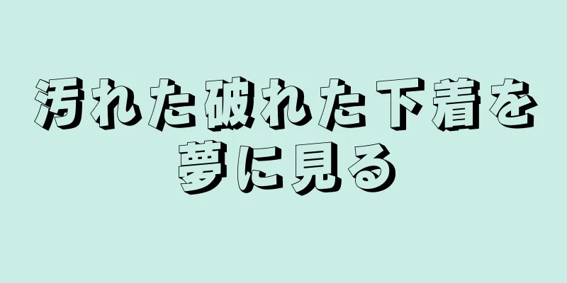 汚れた破れた下着を夢に見る