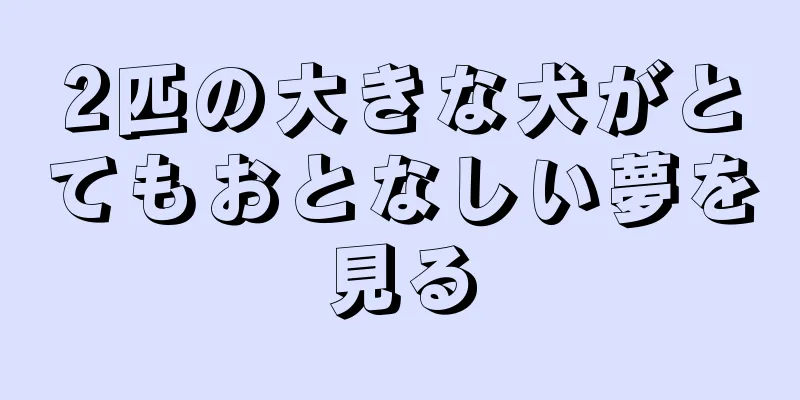 2匹の大きな犬がとてもおとなしい夢を見る