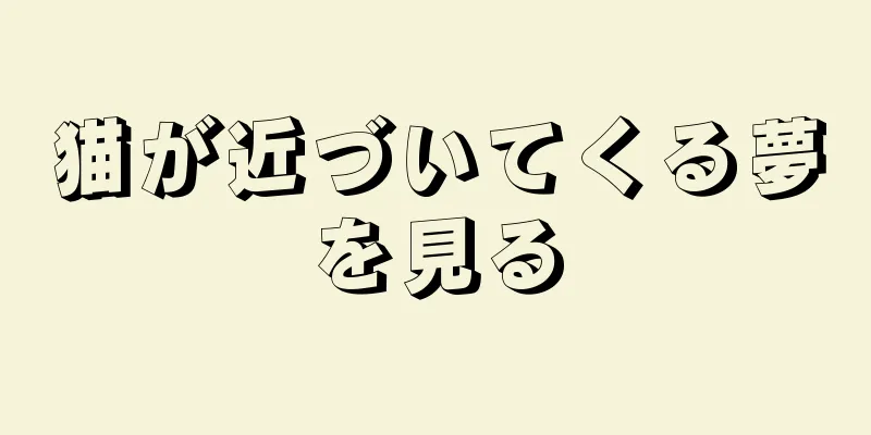 猫が近づいてくる夢を見る