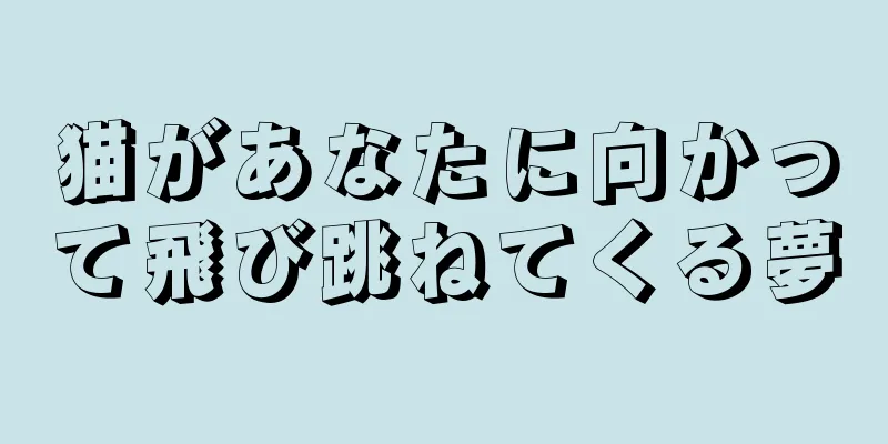 猫があなたに向かって飛び跳ねてくる夢