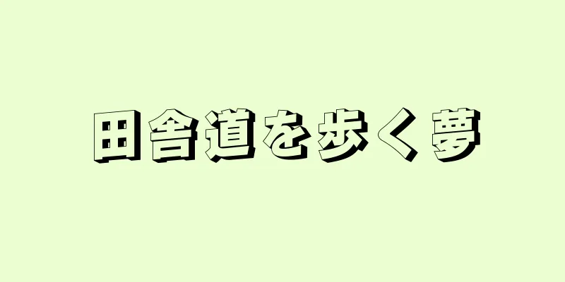 田舎道を歩く夢