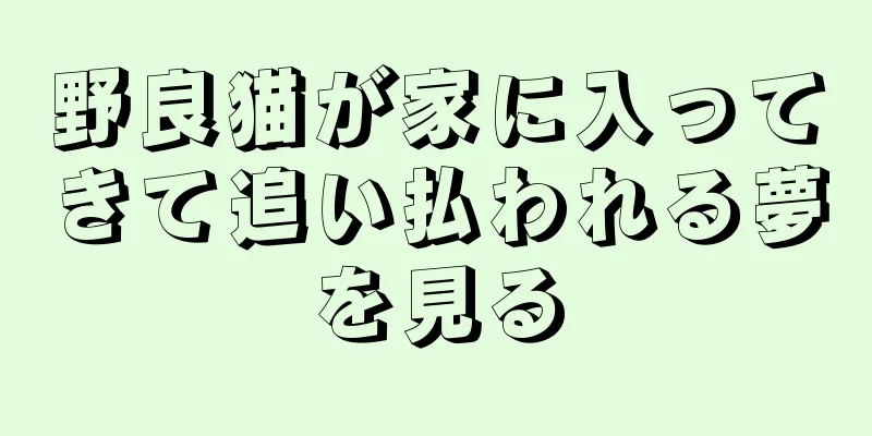 野良猫が家に入ってきて追い払われる夢を見る