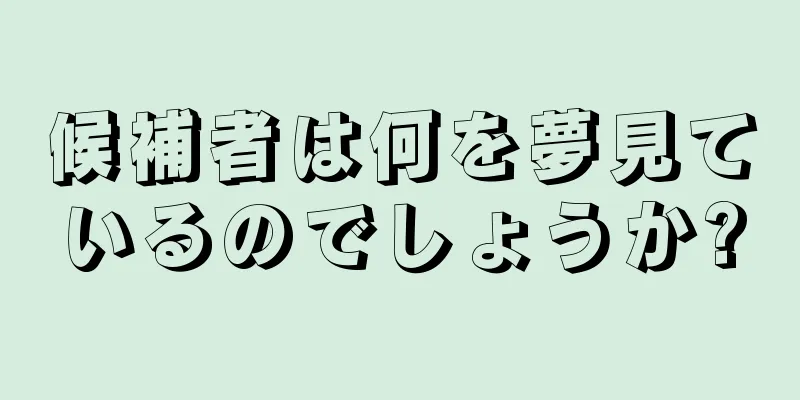 候補者は何を夢見ているのでしょうか?
