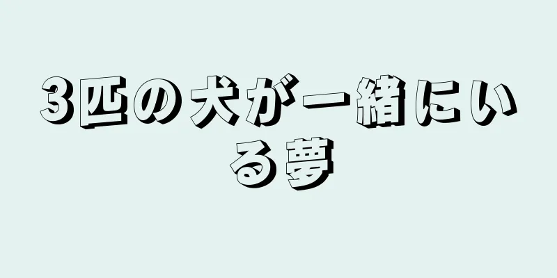 3匹の犬が一緒にいる夢