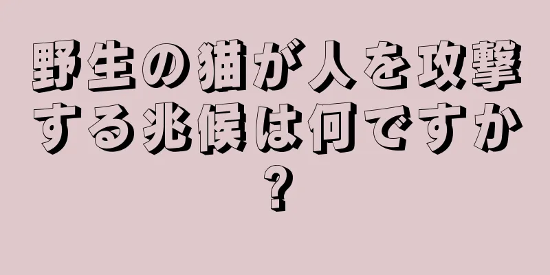 野生の猫が人を攻撃する兆候は何ですか?