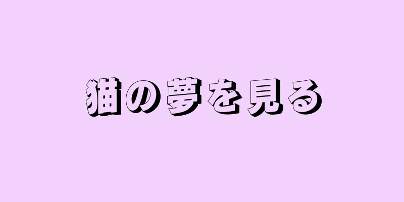 猫の夢を見る