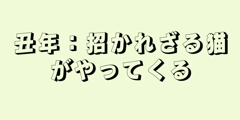 丑年：招かれざる猫がやってくる
