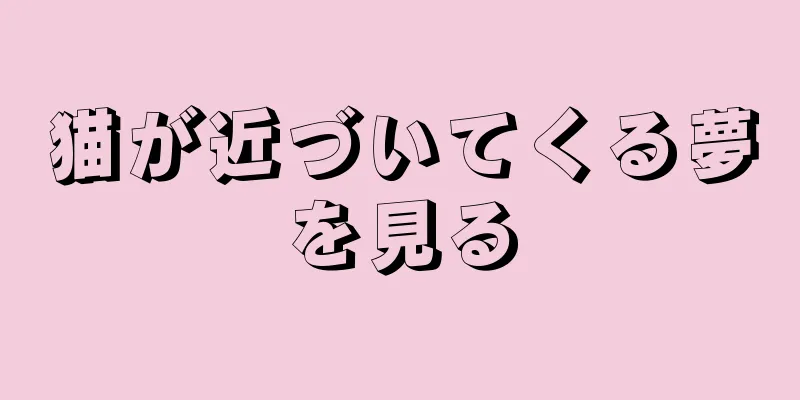 猫が近づいてくる夢を見る
