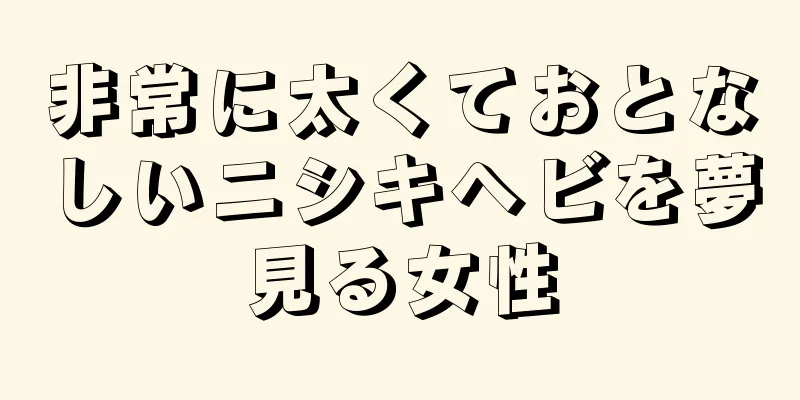 非常に太くておとなしいニシキヘビを夢見る女性