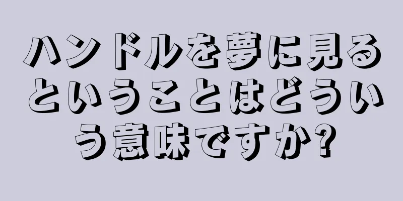 ハンドルを夢に見るということはどういう意味ですか?