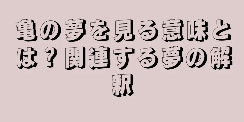 亀の夢を見る意味とは？関連する夢の解釈