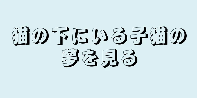 猫の下にいる子猫の夢を見る