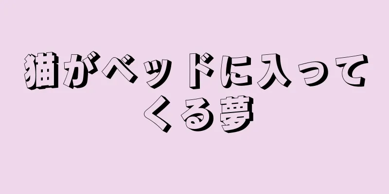 猫がベッドに入ってくる夢
