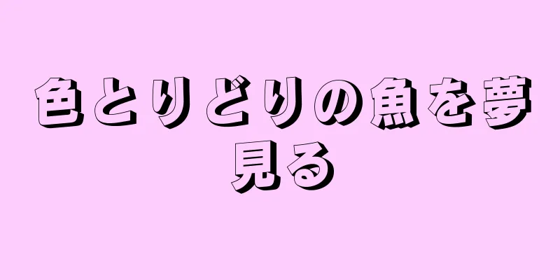 色とりどりの魚を夢見る