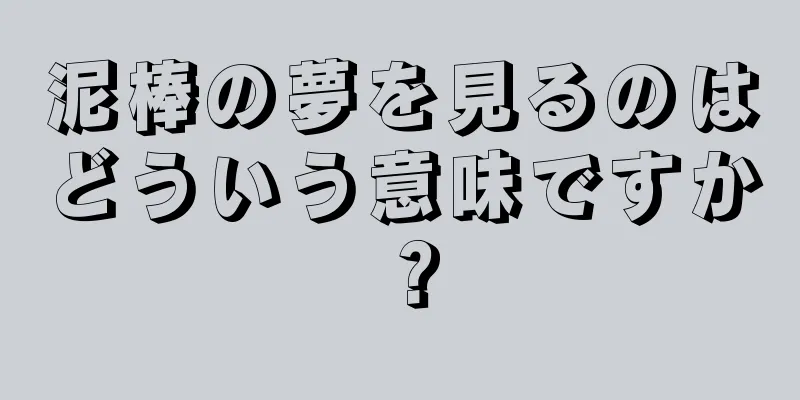 泥棒の夢を見るのはどういう意味ですか？