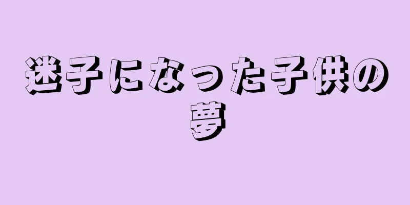 迷子になった子供の夢