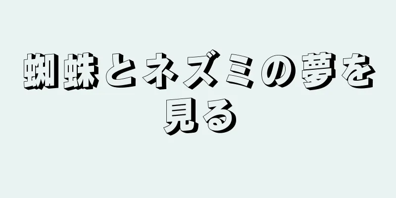 蜘蛛とネズミの夢を見る