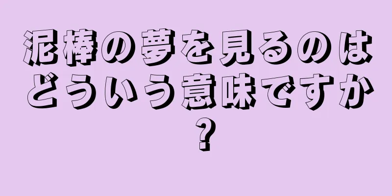泥棒の夢を見るのはどういう意味ですか？