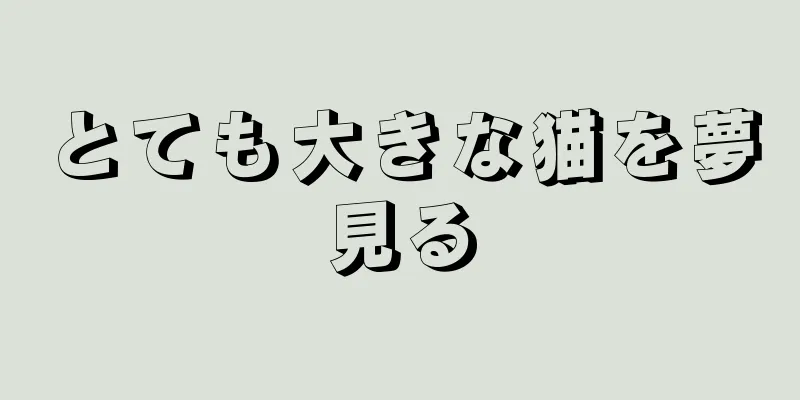 とても大きな猫を夢見る