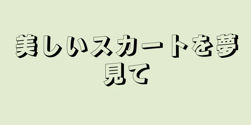 美しいスカートを夢見て