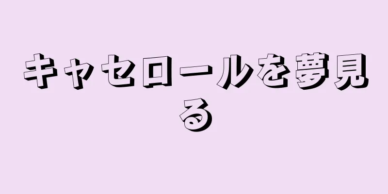 キャセロールを夢見る