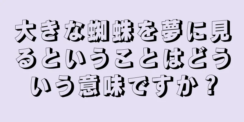 大きな蜘蛛を夢に見るということはどういう意味ですか？