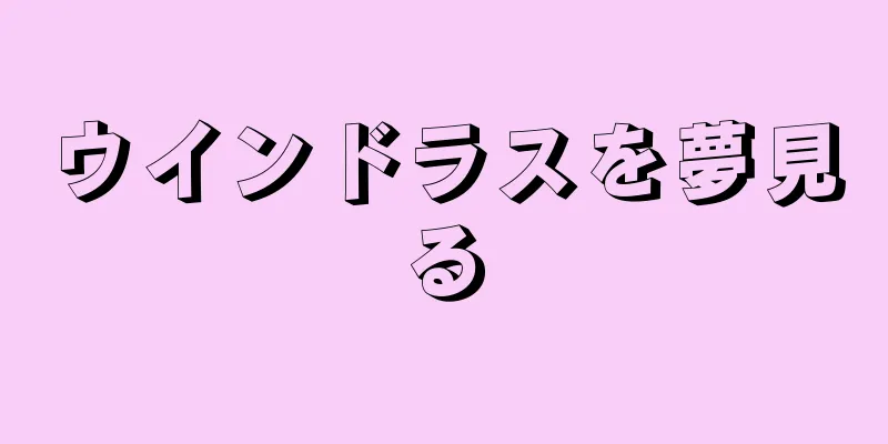 ウインドラスを夢見る