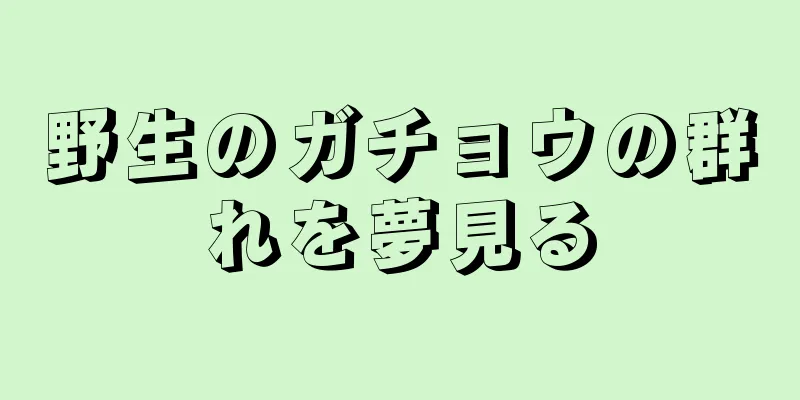 野生のガチョウの群れを夢見る