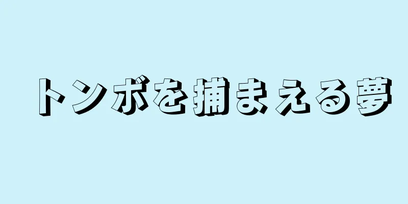 トンボを捕まえる夢