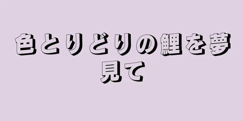 色とりどりの鯉を夢見て