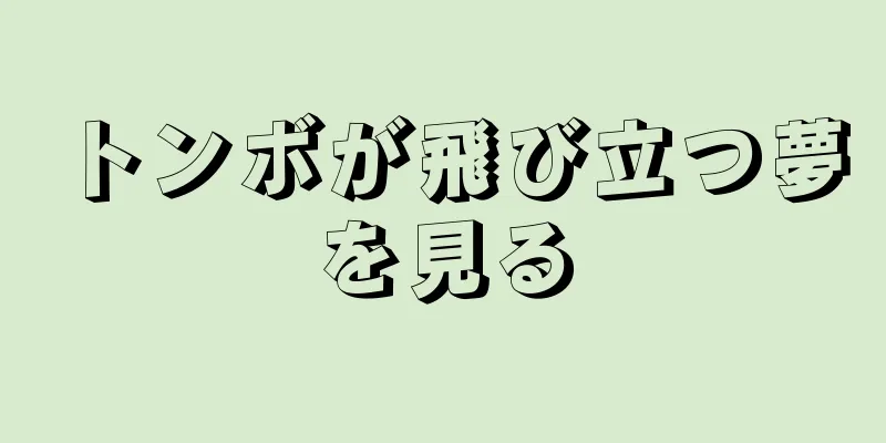 トンボが飛び立つ夢を見る