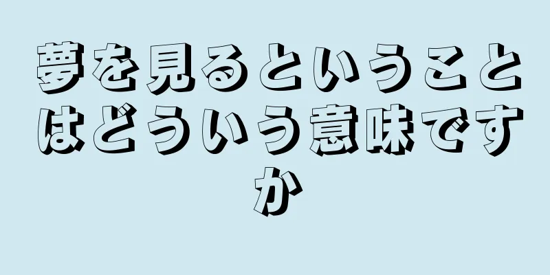 夢を見るということはどういう意味ですか