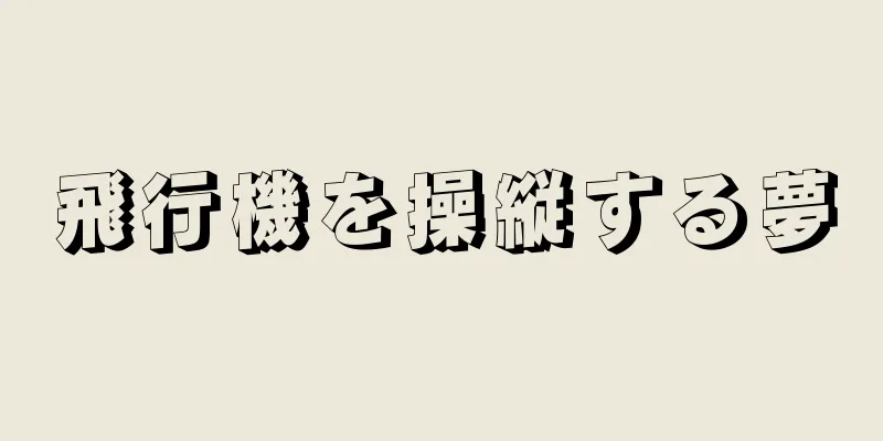飛行機を操縦する夢