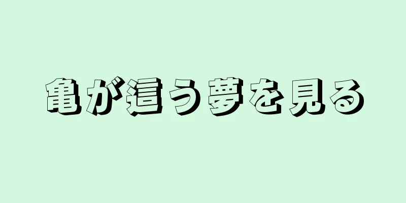 亀が這う夢を見る
