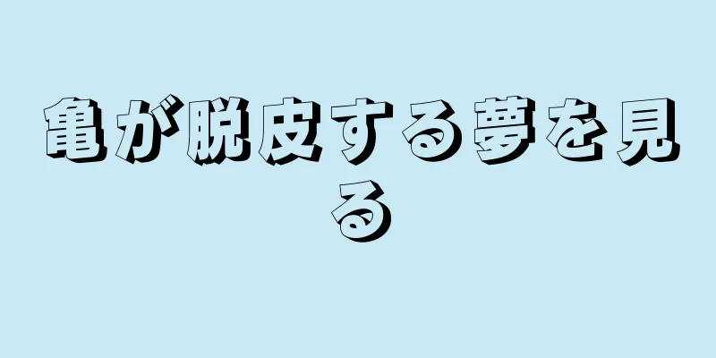 亀が脱皮する夢を見る