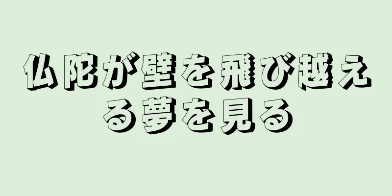 仏陀が壁を飛び越える夢を見る