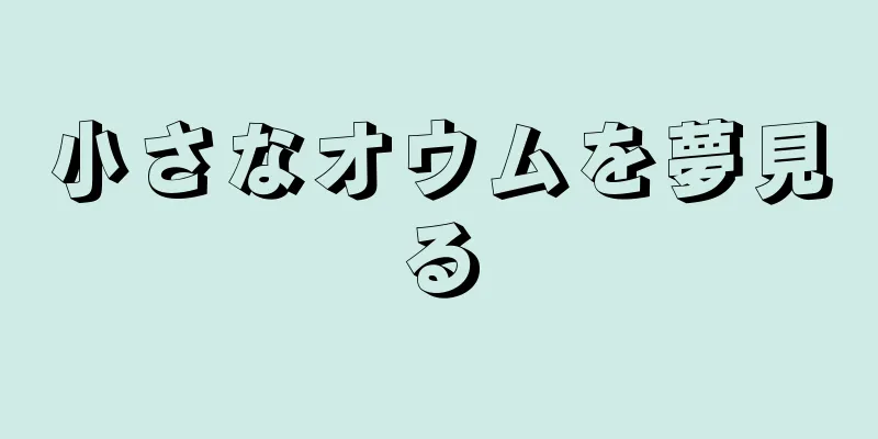 小さなオウムを夢見る