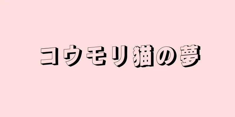 コウモリ猫の夢