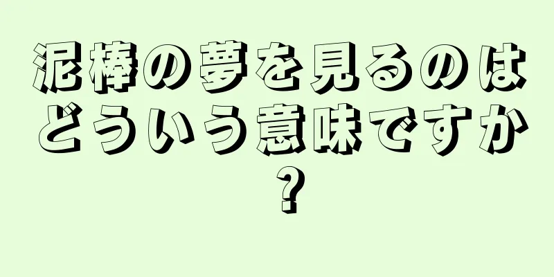 泥棒の夢を見るのはどういう意味ですか？