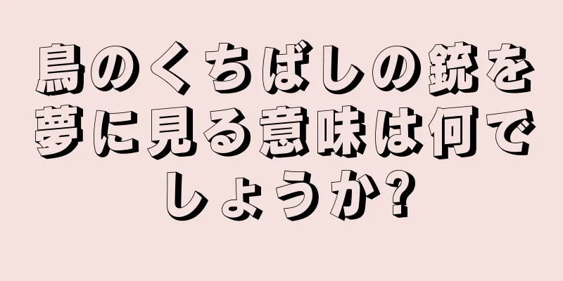 鳥のくちばしの銃を夢に見る意味は何でしょうか?