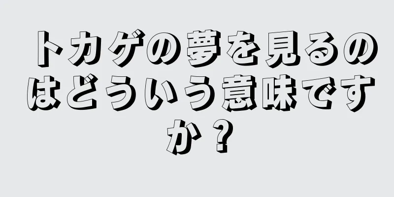 トカゲの夢を見るのはどういう意味ですか？