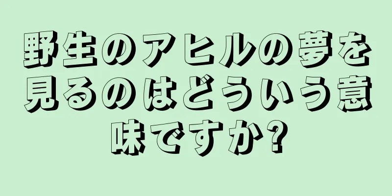 野生のアヒルの夢を見るのはどういう意味ですか?