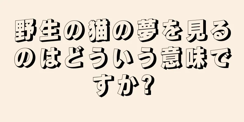野生の猫の夢を見るのはどういう意味ですか?