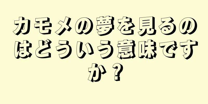 カモメの夢を見るのはどういう意味ですか？